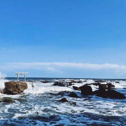 艺辉（赶海非专业）