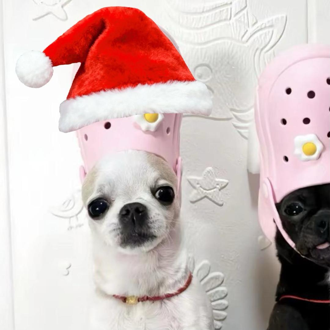 珉珉宇宙（我家流量脑子有坑）