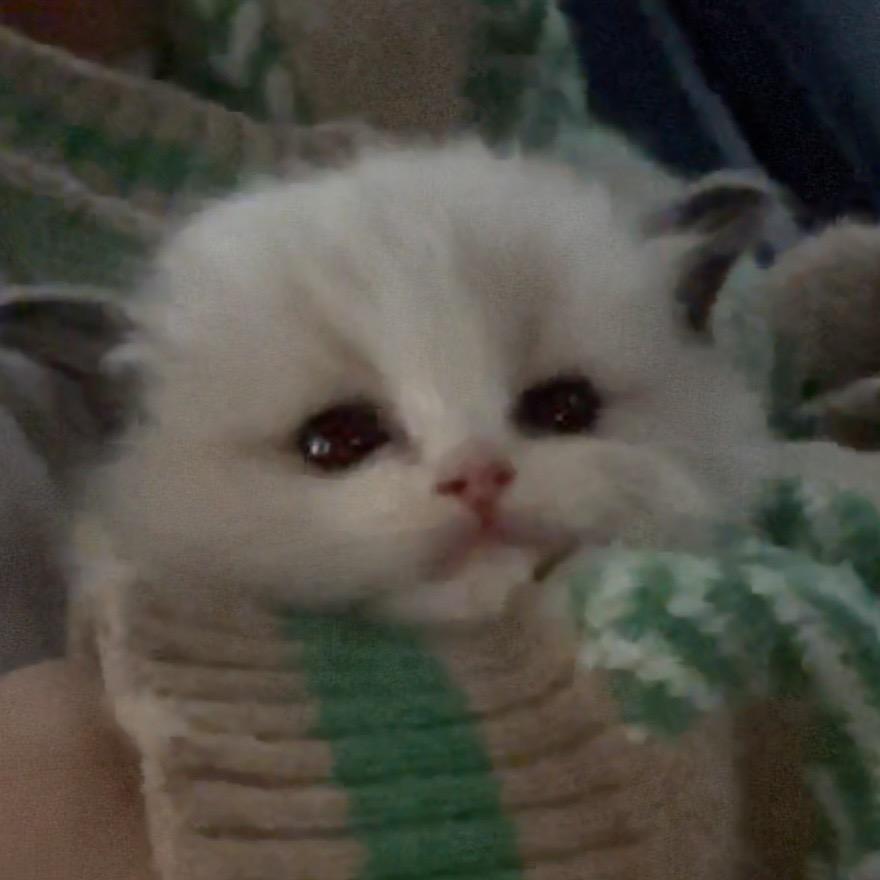 王大运