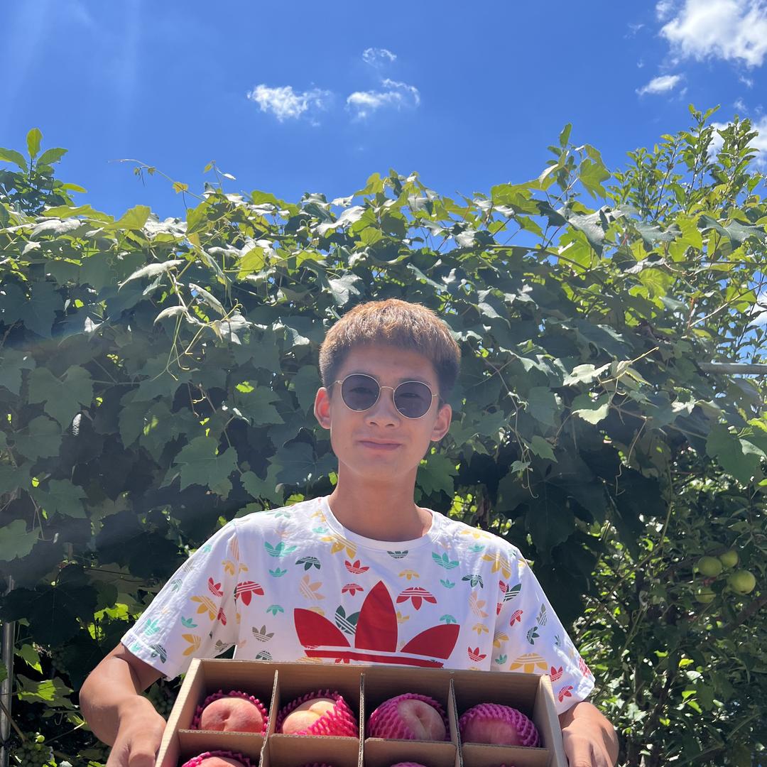 末冉农场(丹东九九草莓）