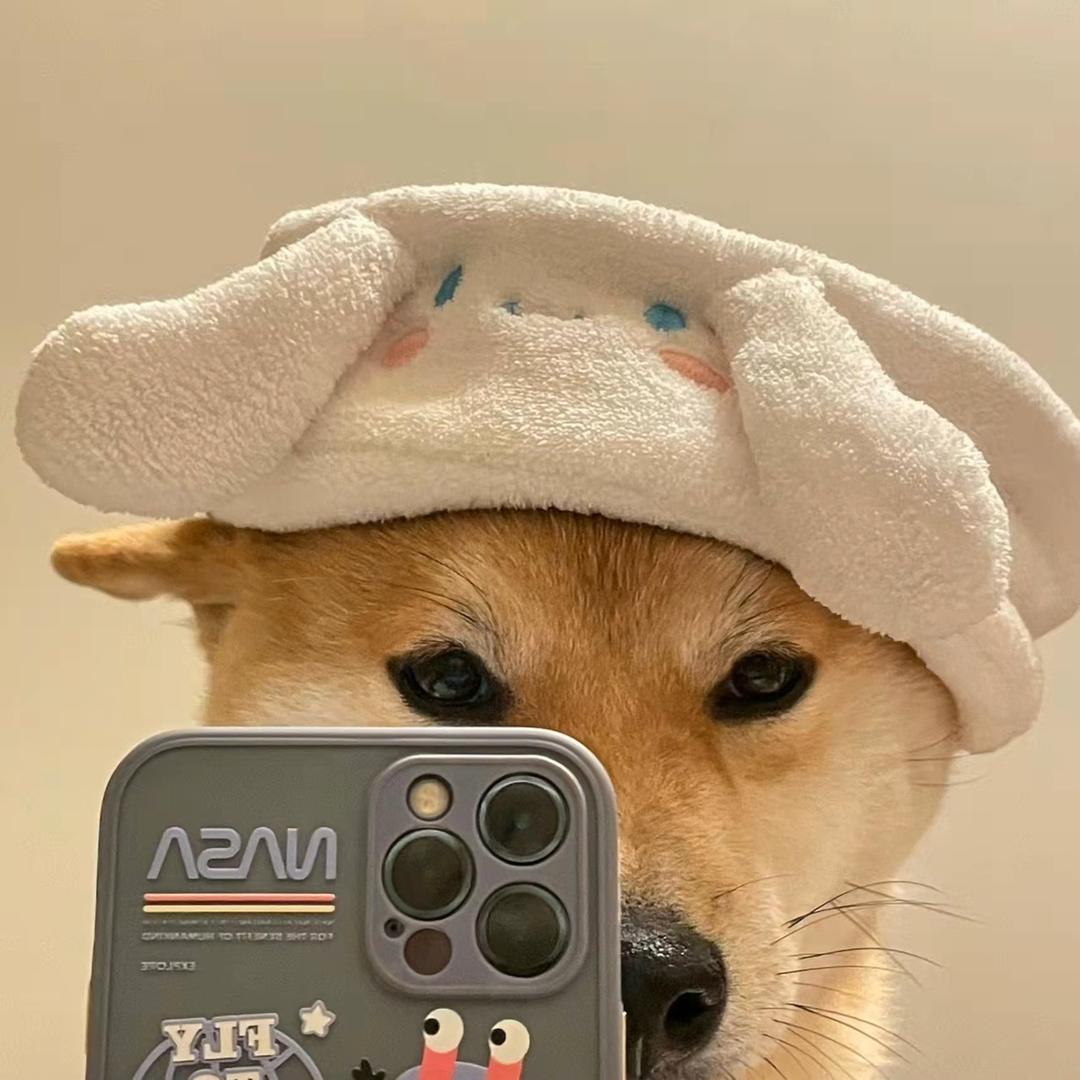 小艾探片