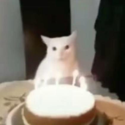 哈基伊