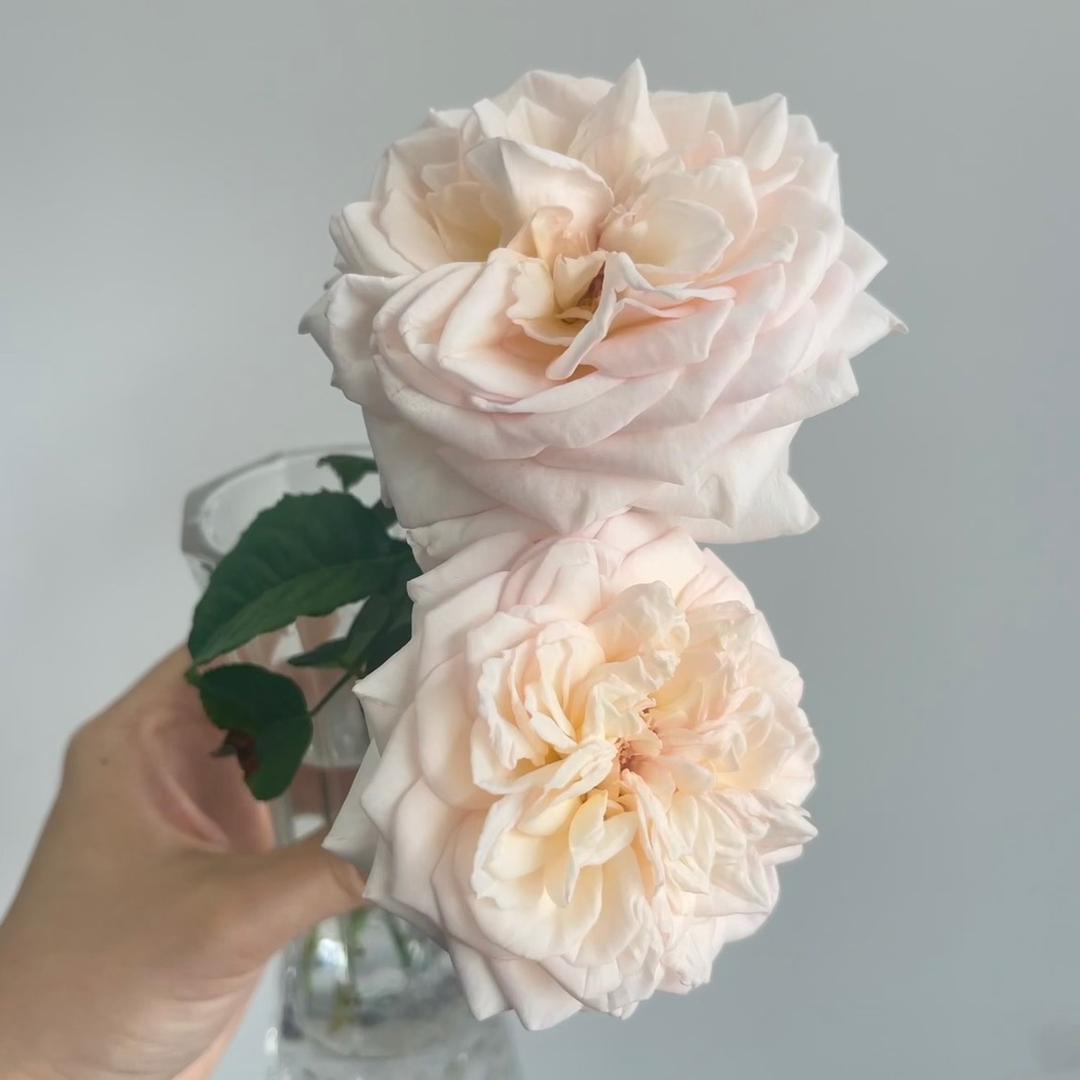 油炸大菠萝