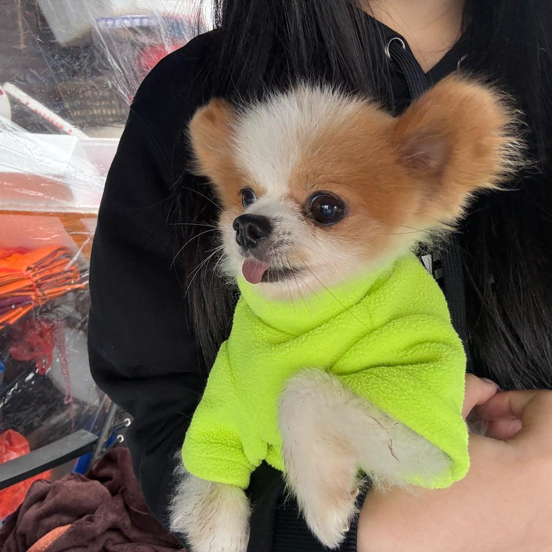 你想不想看烟花