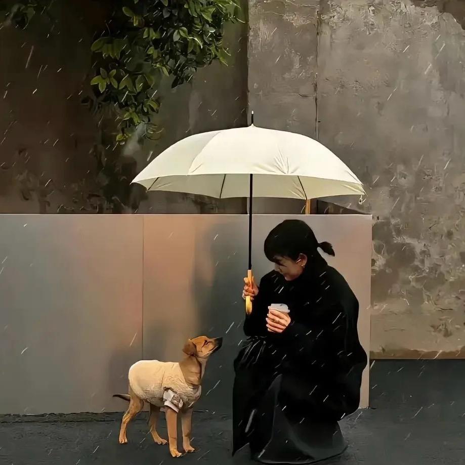超雄性感辣妹母螳螂