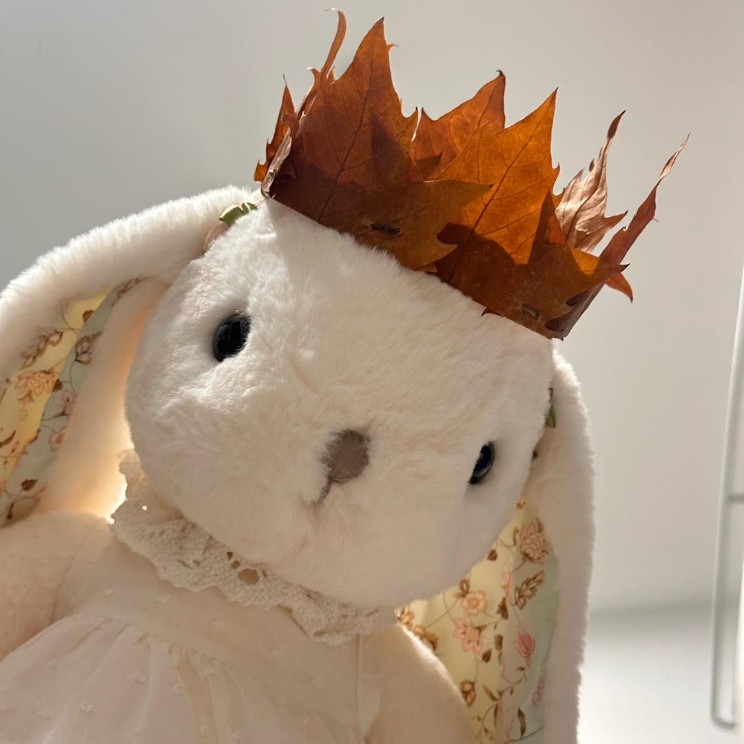 硝酸盐盐盐✖️