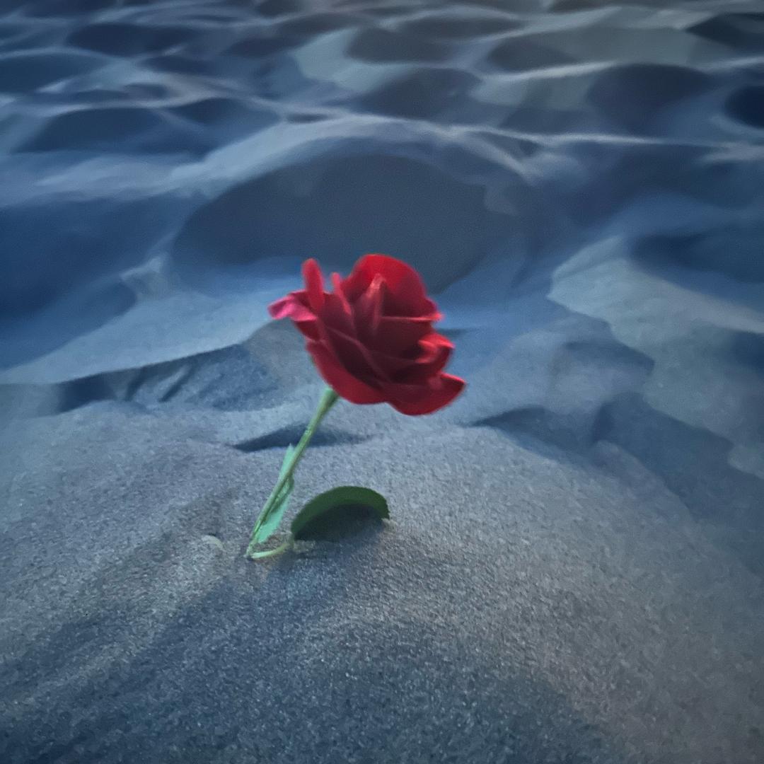 壳