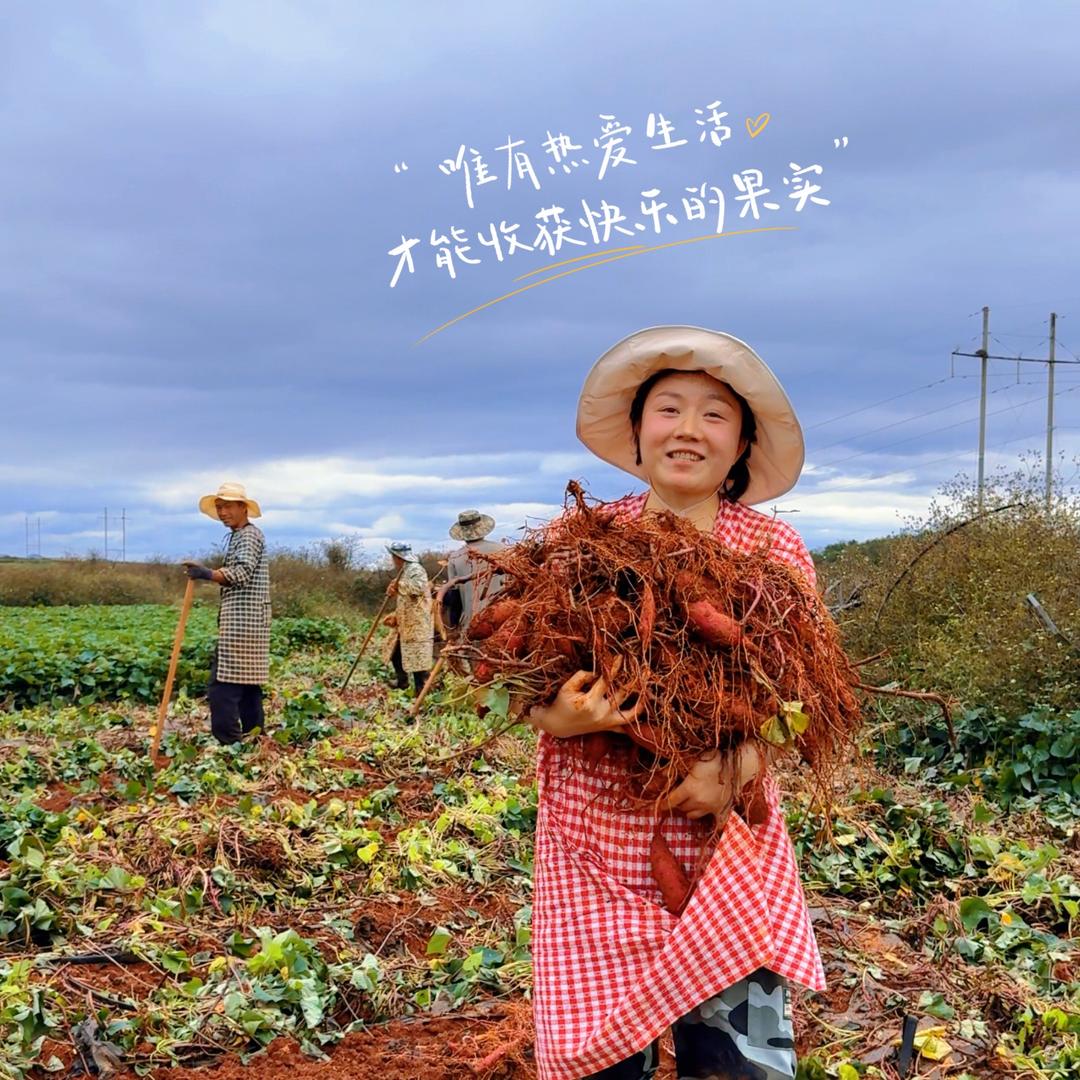 云南小科（榴莲蜜薯）