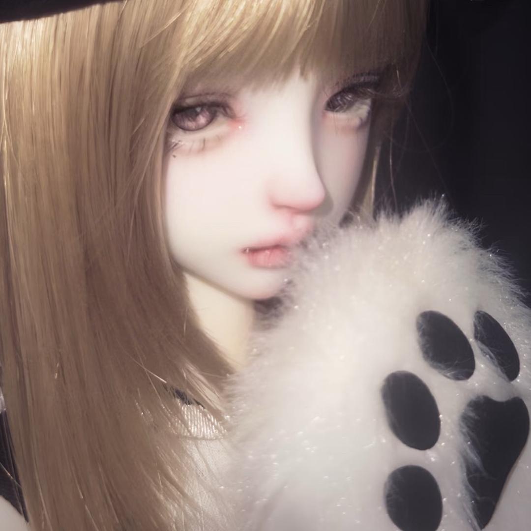 小恬猪