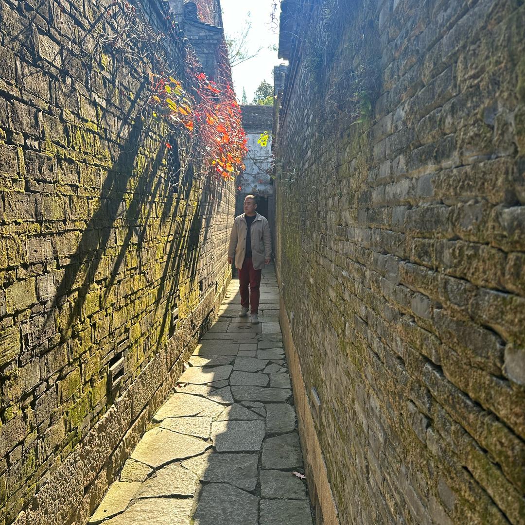 小恐龙