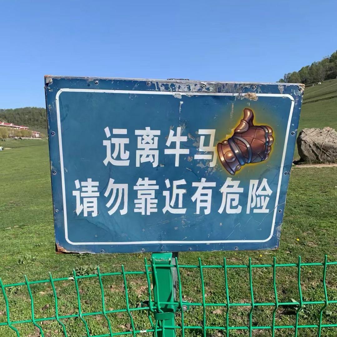 芬达是只猫（三角洲行动）