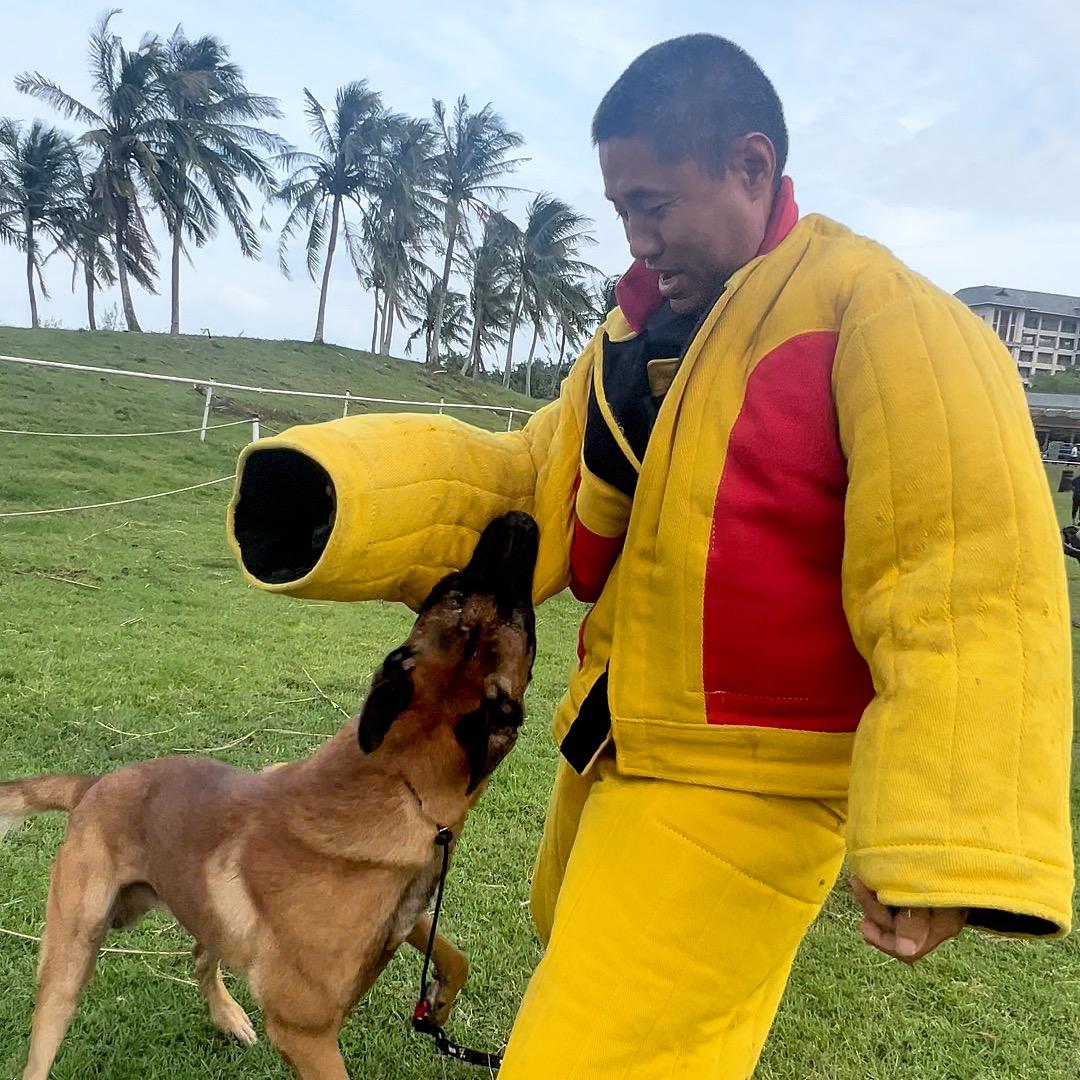 海南训犬师-老朱