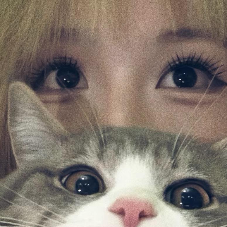 小小丸子🖤