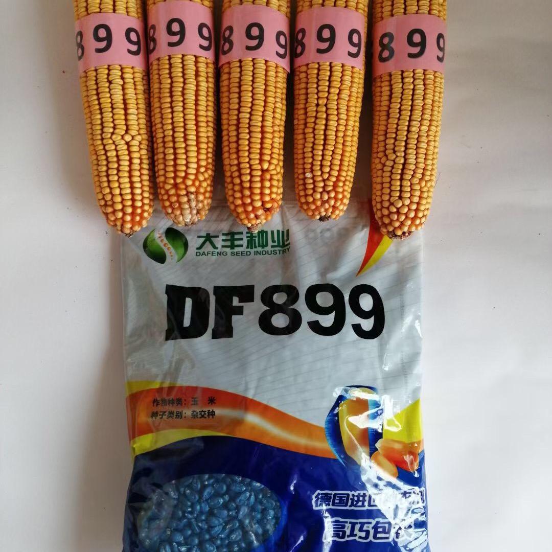 佳丰农业