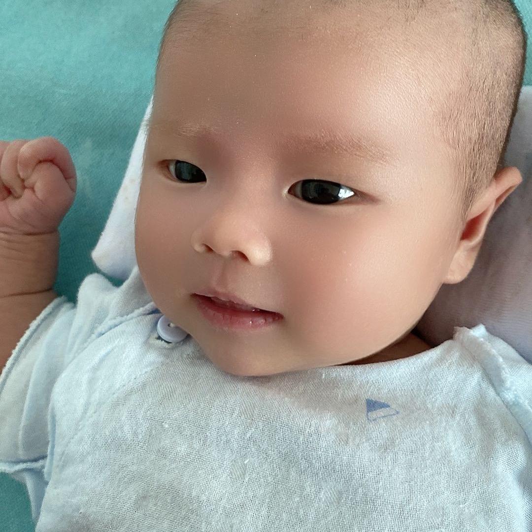 四叶草