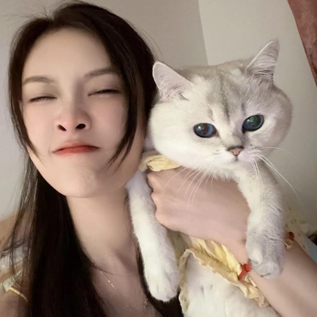 luna 🐱