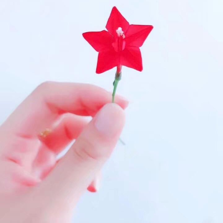 术晨ෆ
