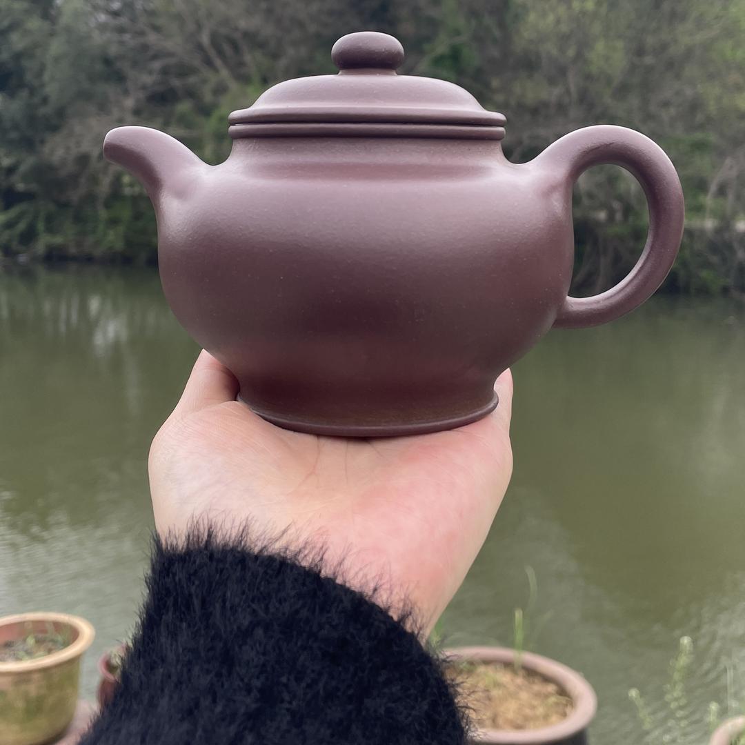 紫砂界虎妞