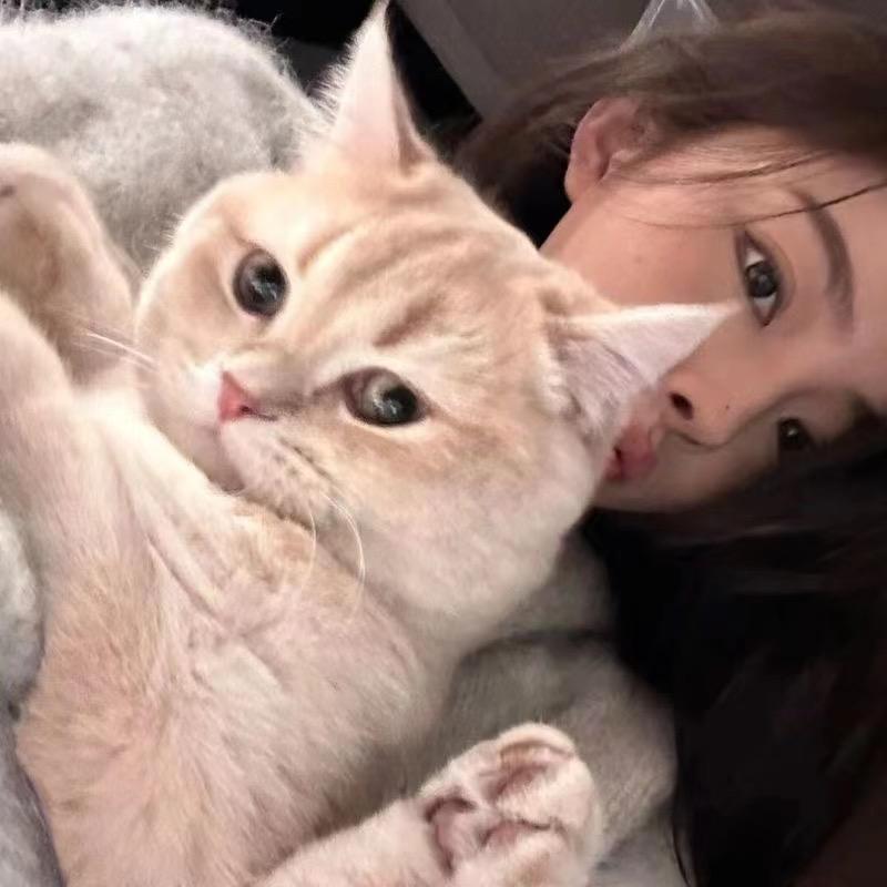 不吃香菜2.0