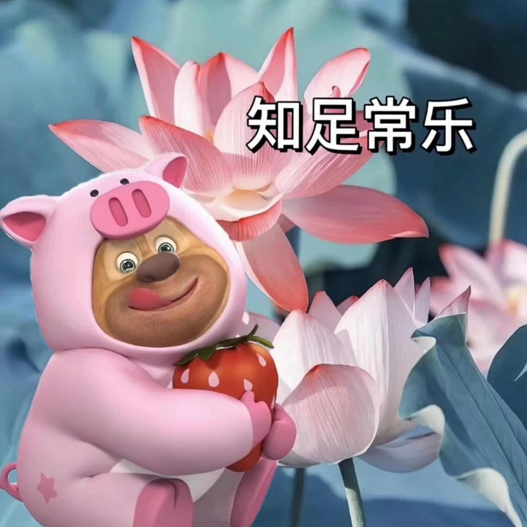 是阳不是羊🐑