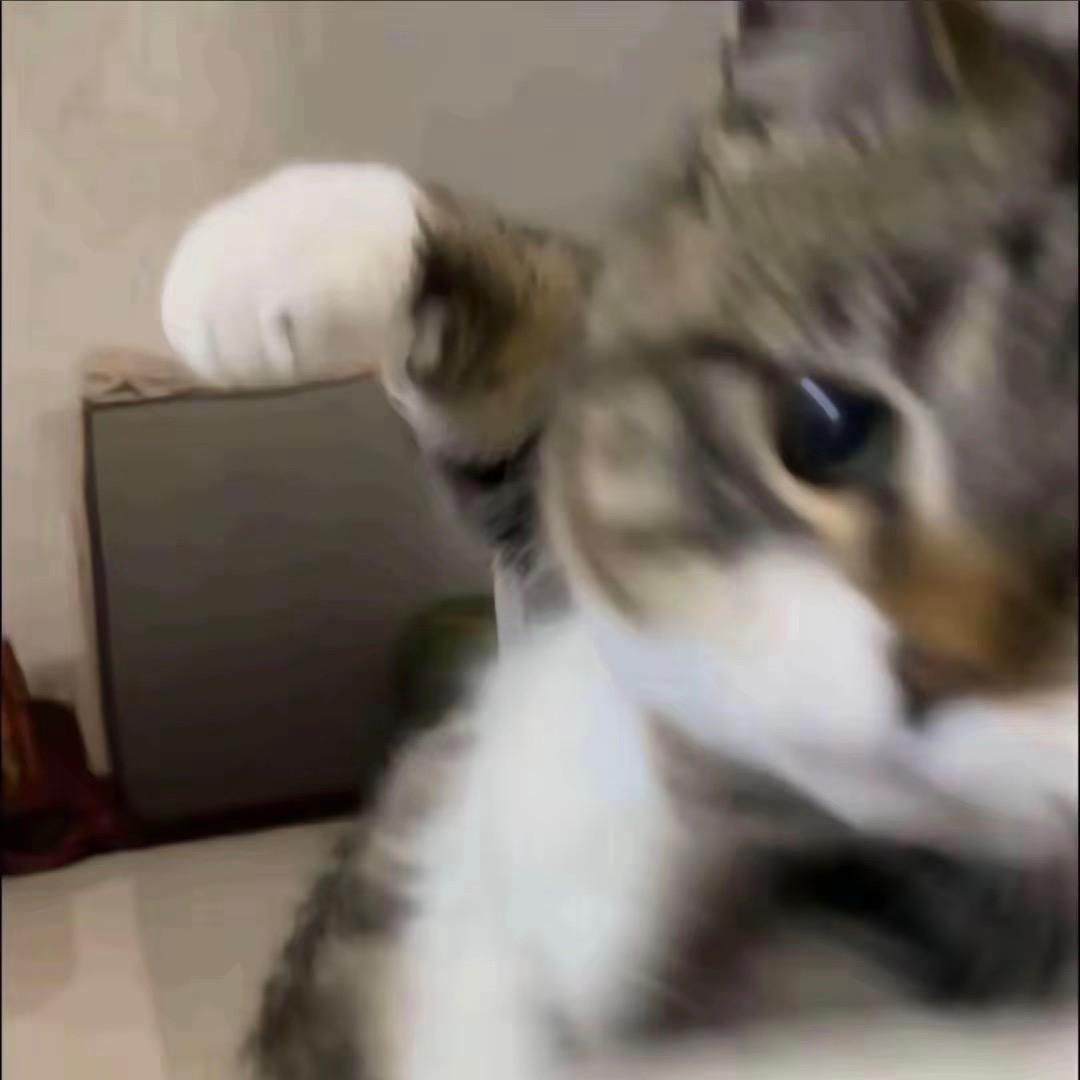 小菜ovo
