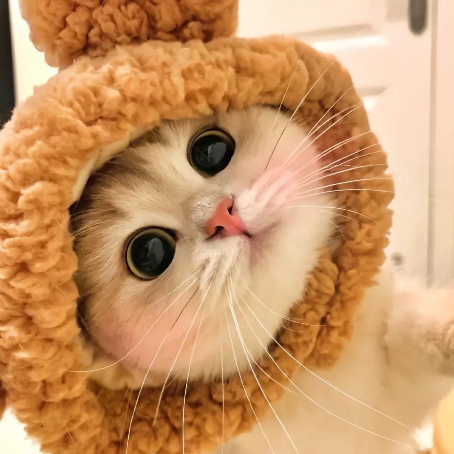 水水差点事儿。