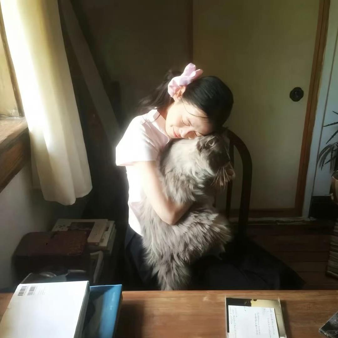 猪猪-