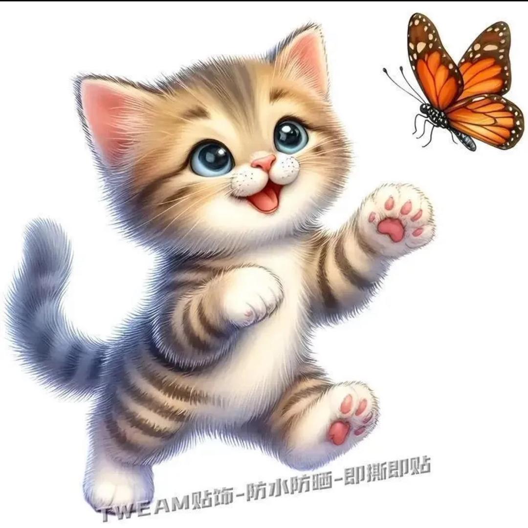 顺顺🥰