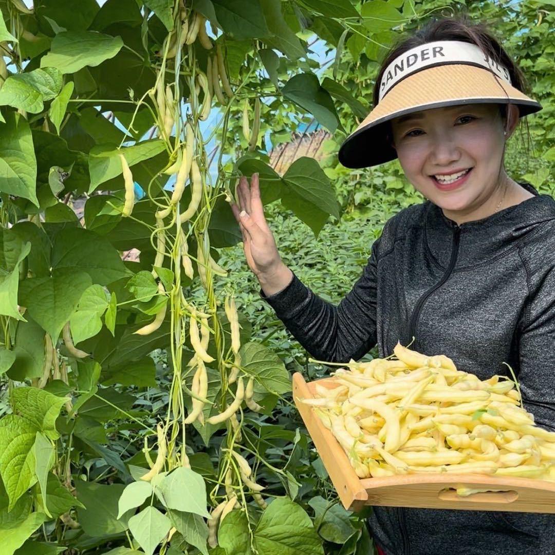 玖洲东北特产