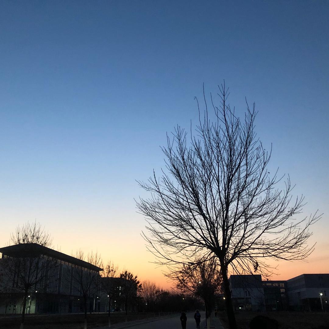 北京中医药大学东方学院表白大墙