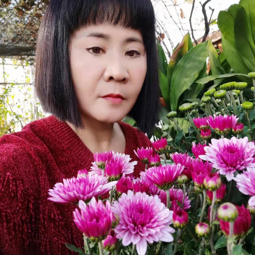 牛大娘花卉