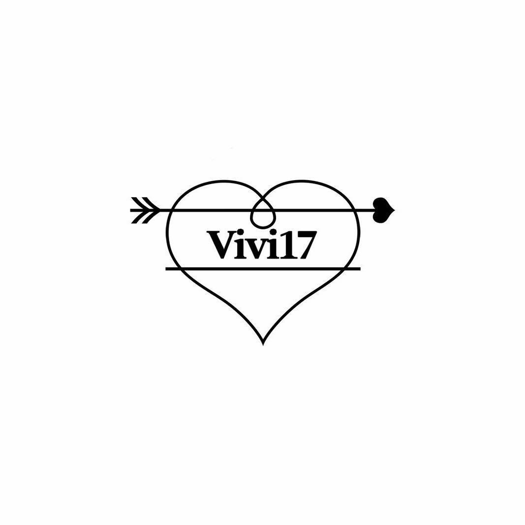 Vivi17 百宝箱