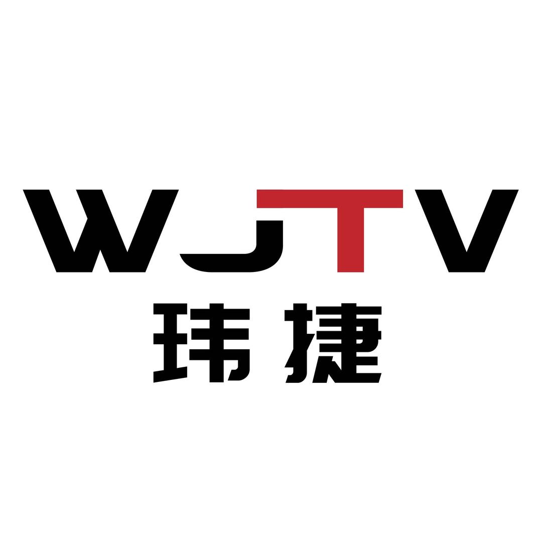 玮捷TV