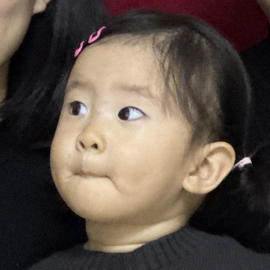 养乐多