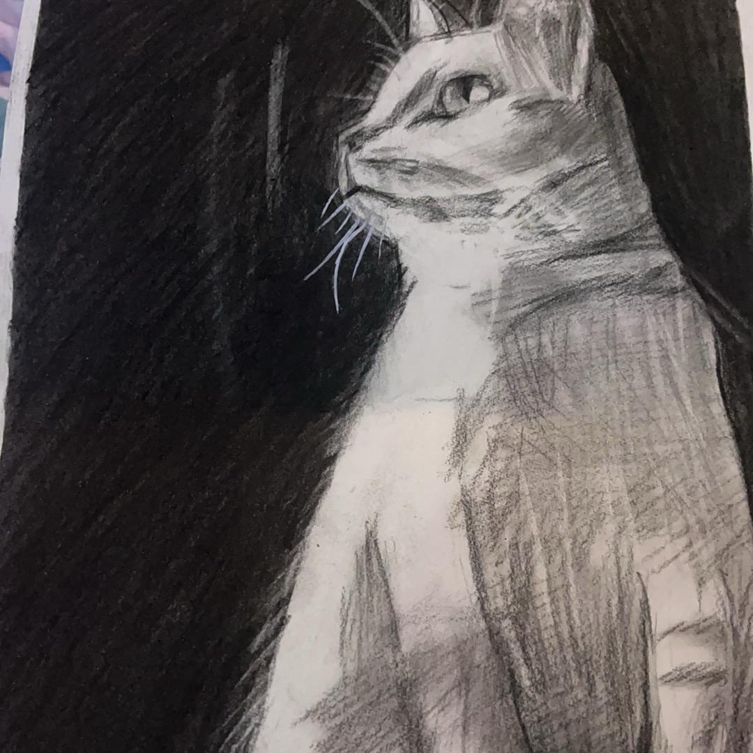 美