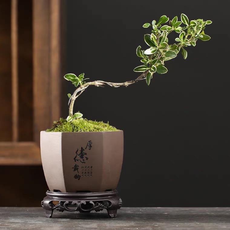 宜兴市丁蜀镇王守余陶瓷经营部