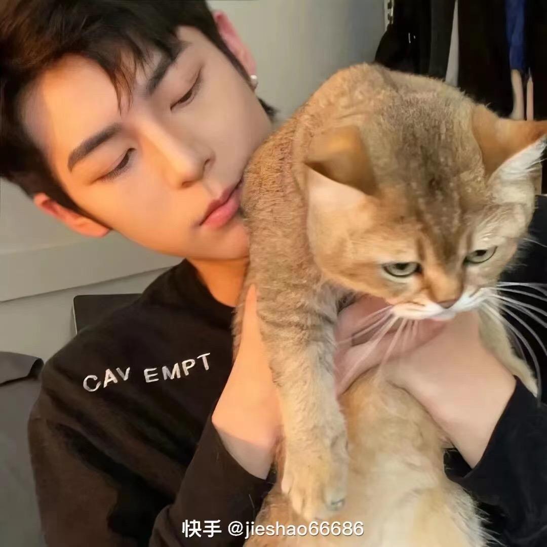 涛涛.