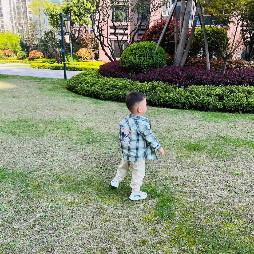 西西子