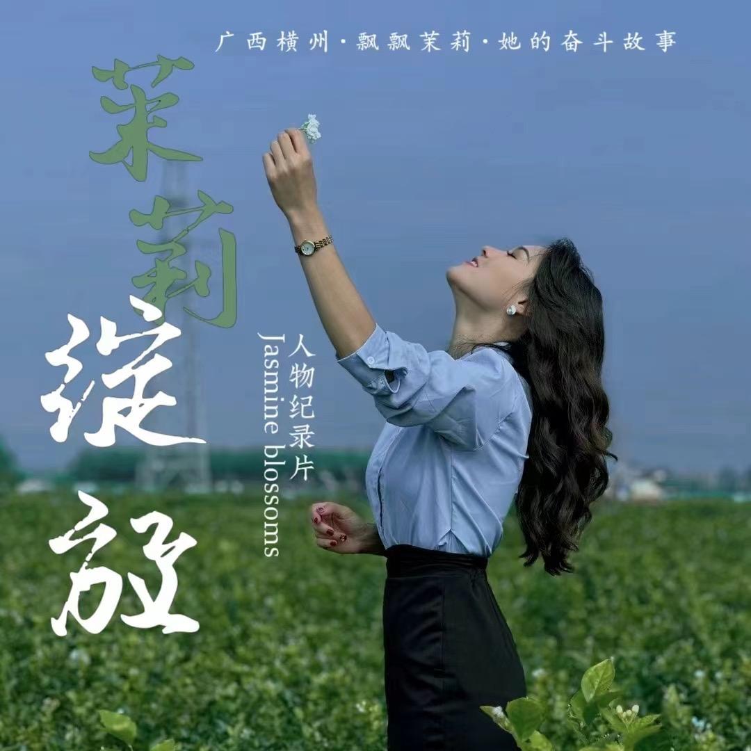 吴飘飘｜横州花茶源头供应链