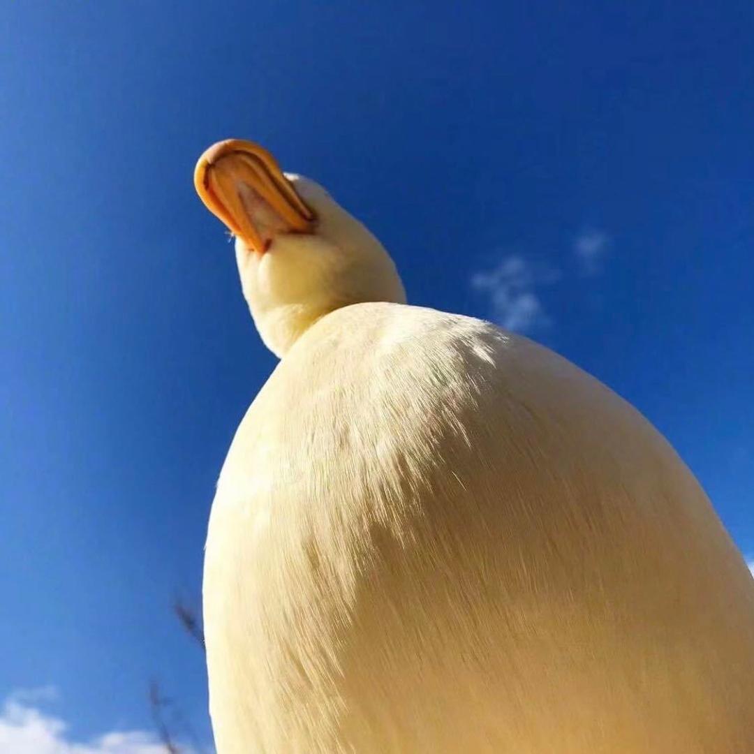 Honing