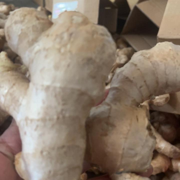 梓群生鲜经营部