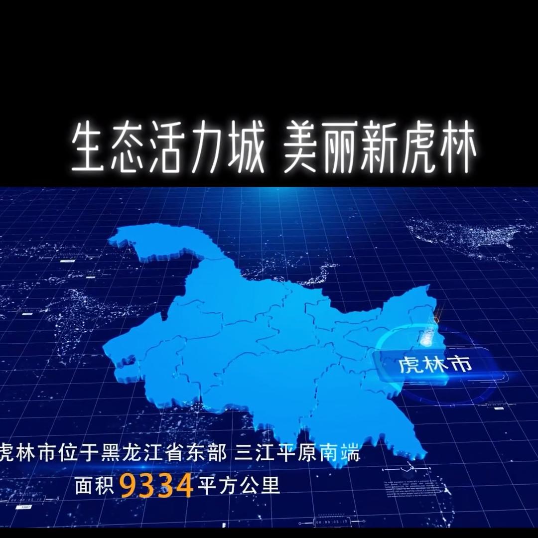 虎林电商