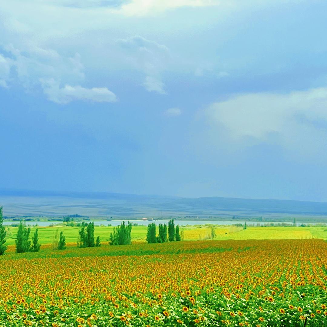 新的人生新的旅程