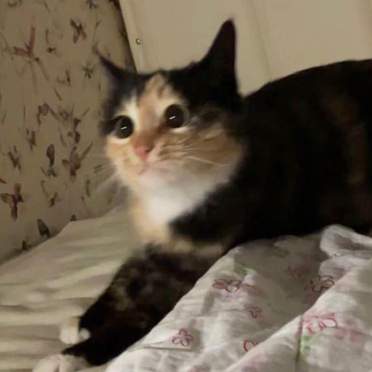 Yyyyyy_