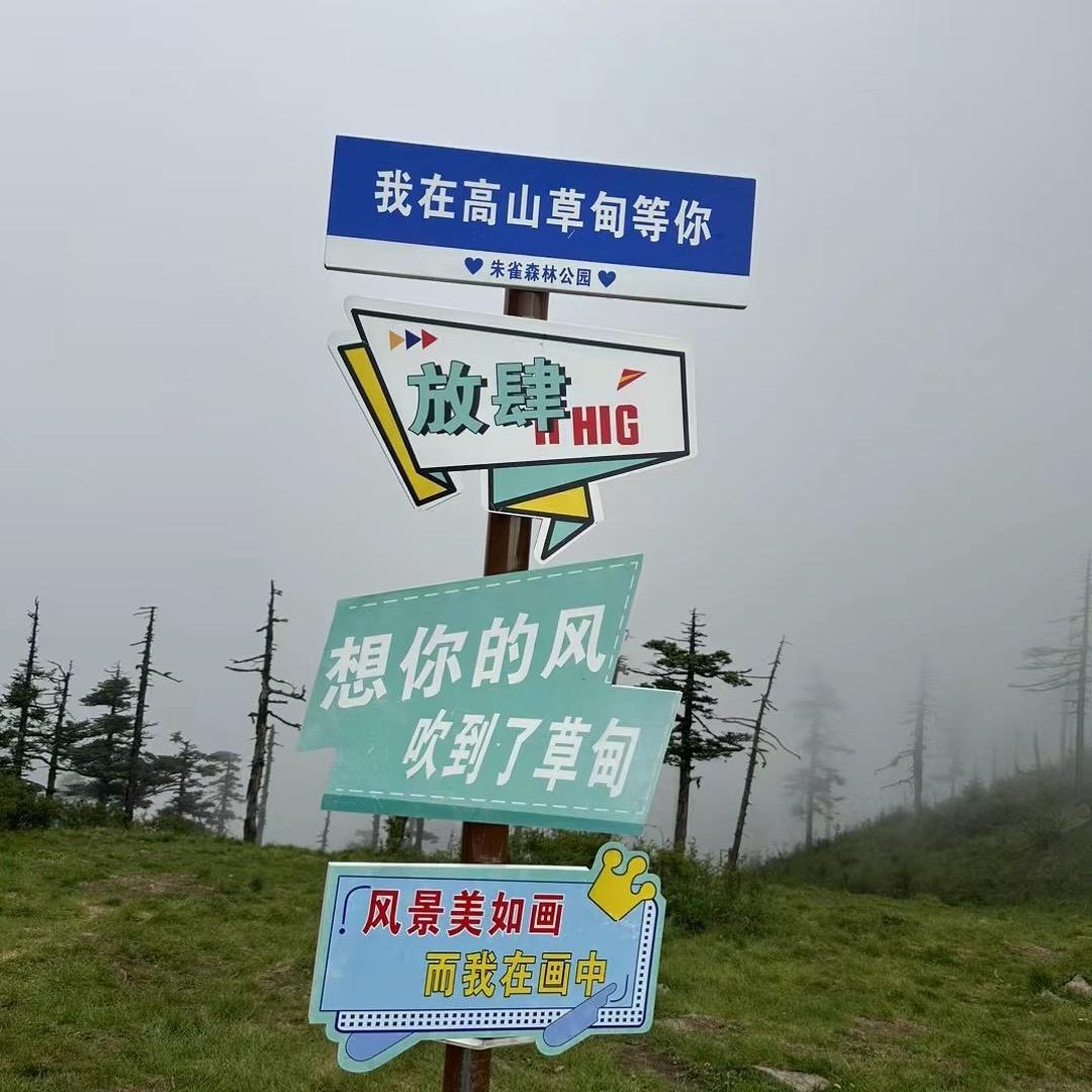 小野猫