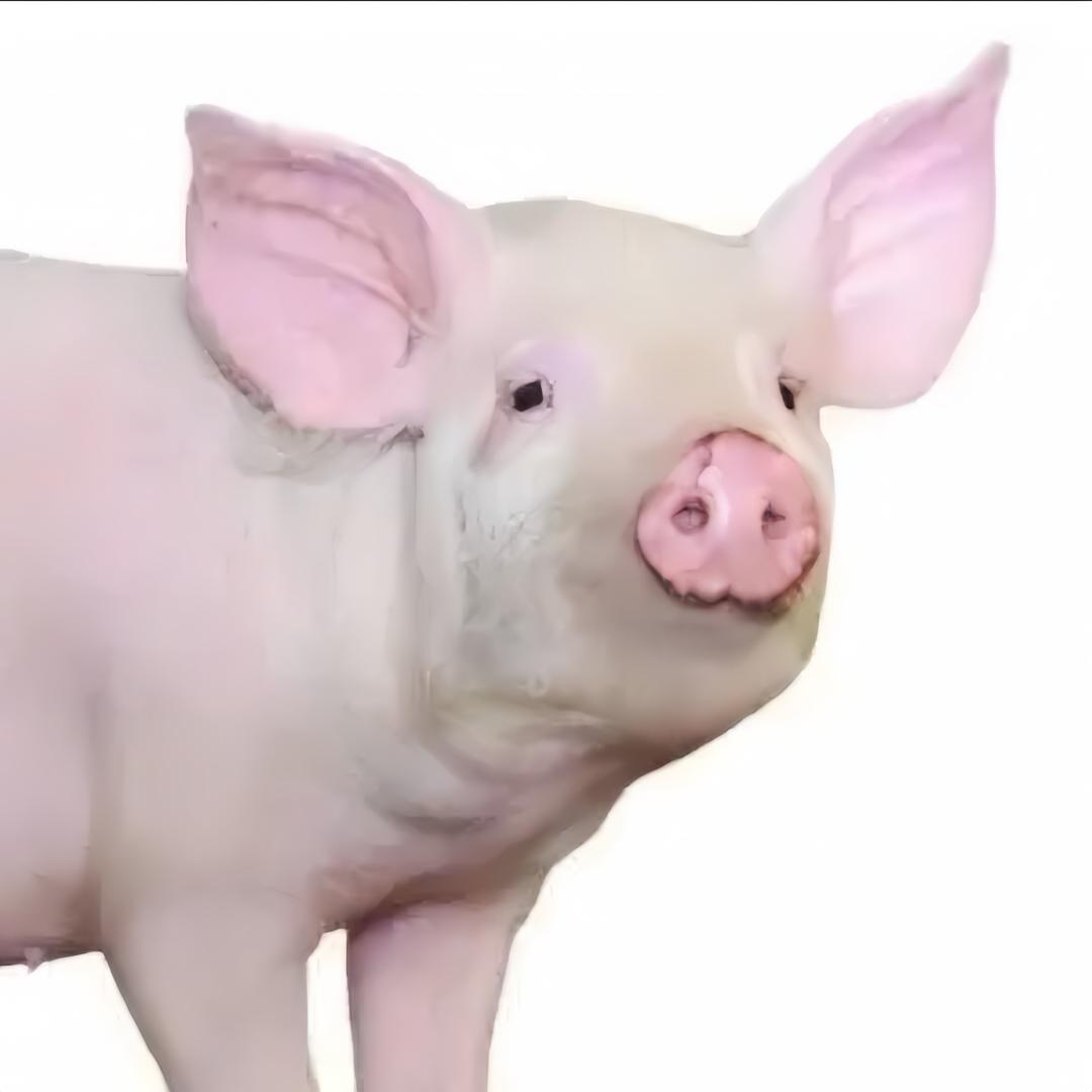 @地球哥