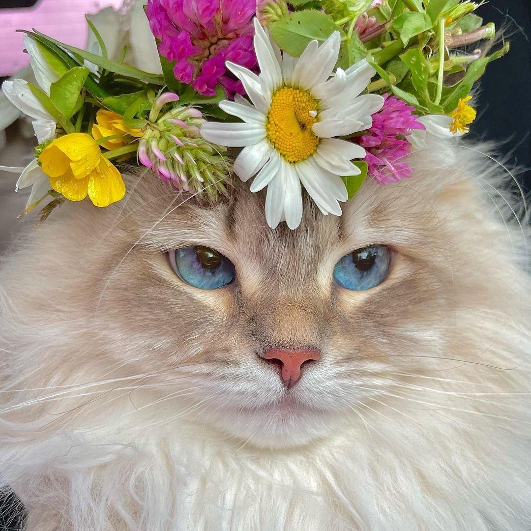 Всегда одиноко