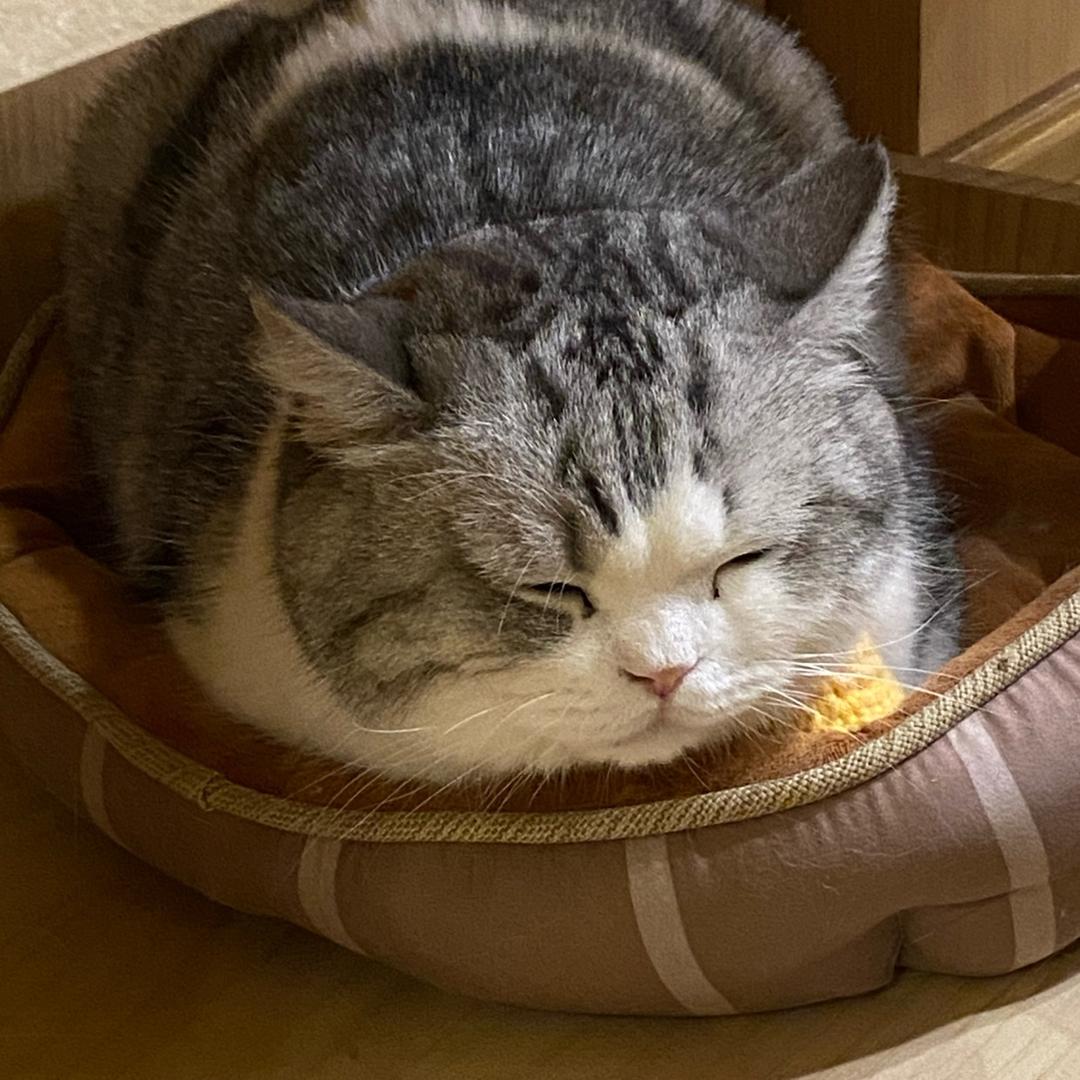 银柿代银饰尊选