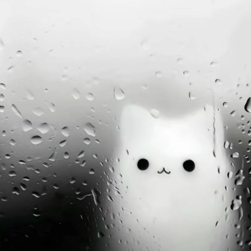 teardrop