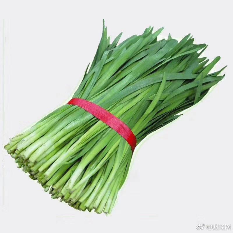 一把韭菜 呀